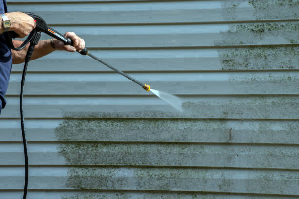 Deck Cleaning Services in Oak Park Heights, MN