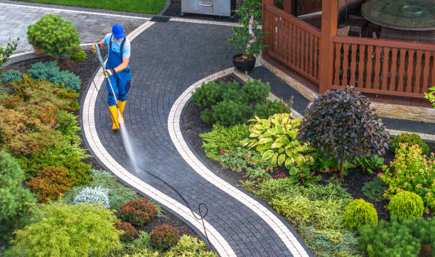Best Pressure Washing Company Near Me  in Oak Park Heights, MN